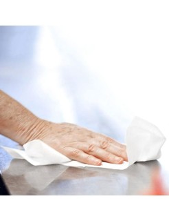 Bobine papier essuie-mains à dévidage central T450 – H717P - 2 plis – 6 rouleaux – Global Hygiène