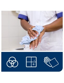 Bobine papier essuie-mains à dévidage central T450 – H717P - 2 plis – 6 rouleaux – Global Hygiène