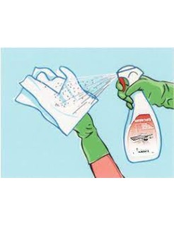 Désinfectant de surface Surfa'Safe Premium Spray Mousse 750 ml – Anios