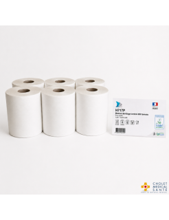 Bobine papier essuie-mains à dévidage central T450 – H717P - 2 plis – 6 rouleaux – Global Hygiène