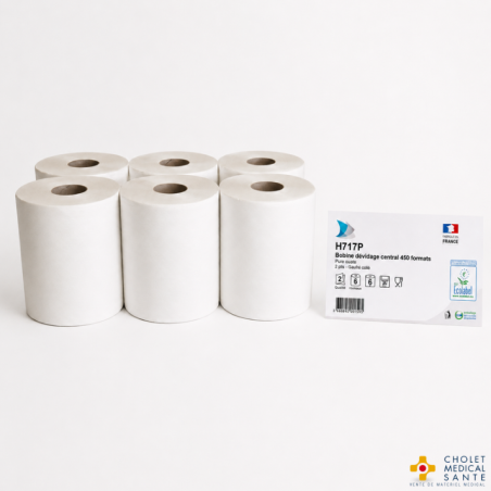 Bobine papier essuie-mains à dévidage central T450 – H717P - 2 plis – 6 rouleaux – Global Hygiène