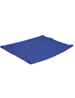 Drap de glisse bleu Clinibed 70X190cm